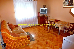 Chorvatsko apartm�ny&nbsp;IVANA a IVAN ubytov�n� v lokalit� Nemira - rivi�ra Omi� 